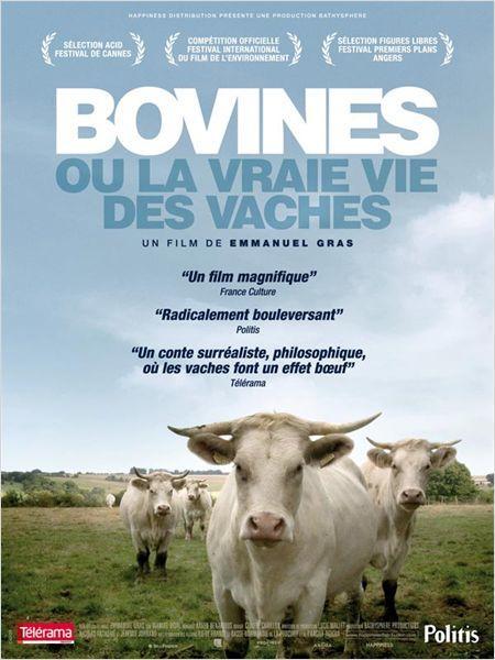 Critique Cinéma : Bovines ou la vraie vie des vaches