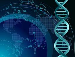 Profil génétique - Un ADN de 40 000 ans lié aux Asiatiques modernes et aux Amérindiens