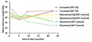 NUTRITION: La restriction calorique augmente la longévité – PLoS ONE