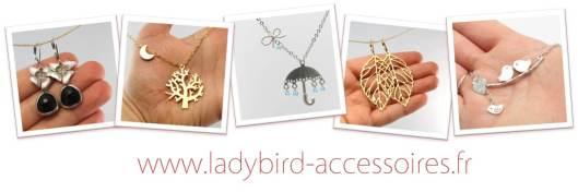 Bannière de bijoux - Ladybird