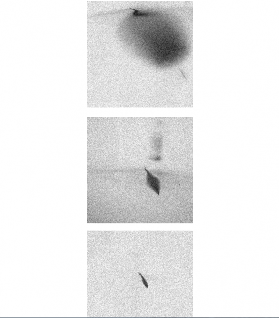 Miguel Palomino, Peruvian photographer