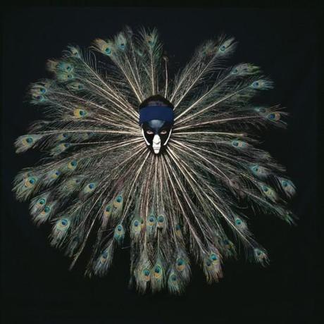 ART – Les photoperformances corporelles de Cecilia Parades