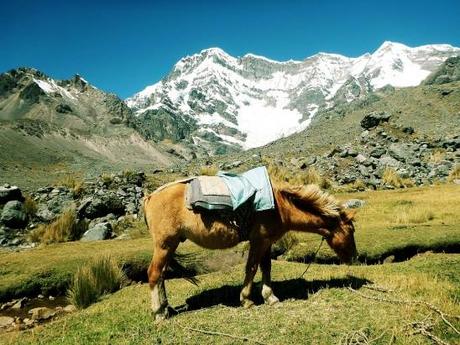 Randonnée dans les Andes