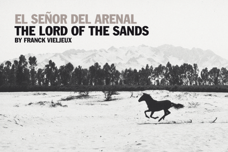 Livre de photographies sur le cavallo de paso, le cheval péruvien