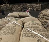 Le mutuellisme, clef d’un développement agricole durable en Côte d’Ivoire