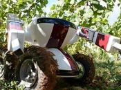 robot vigneron s’occupe vignobles