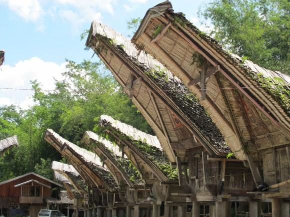 Comment j’ai côtoyé la mort au Pays Toraja