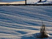 plus tard, encore moins degrés