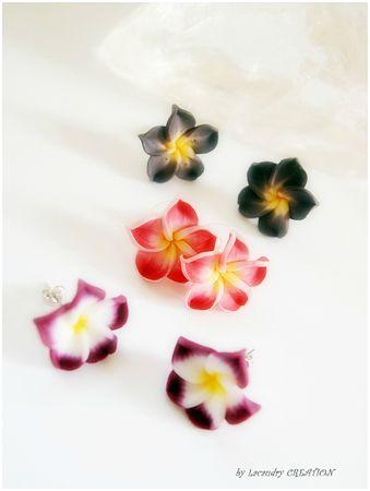 boucles puces fleur de tiaré collection 2013