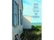 L'amour Maytree Annie DILLARD