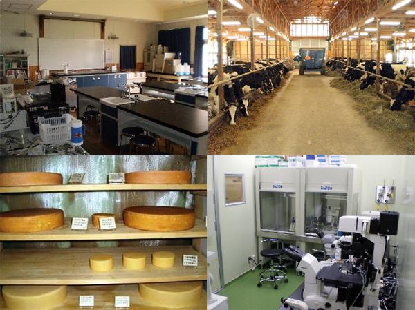 Obihiro Agricultural High School Dairy Science Course
