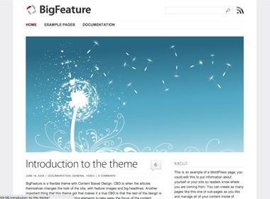 BigFeature