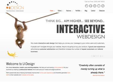 UDesign template