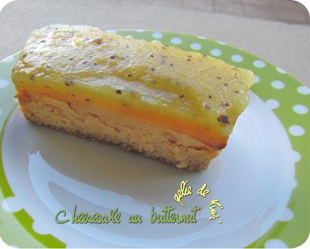 cheesecake butternut kiwi (scrap2)