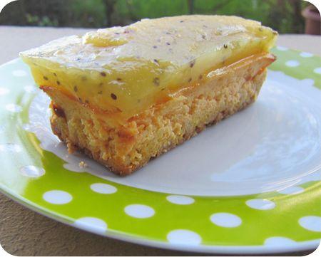cheesecake butternut kiwi (scrap1)