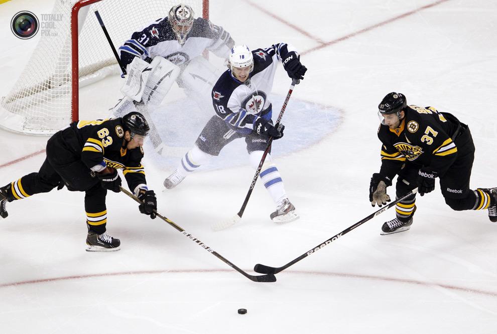 Coolest Sport Pix 2013 Semaine 03