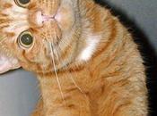 Saviez-vous Peut-on mourir rire