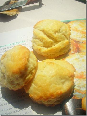 biscuits-au-lait-fermente2