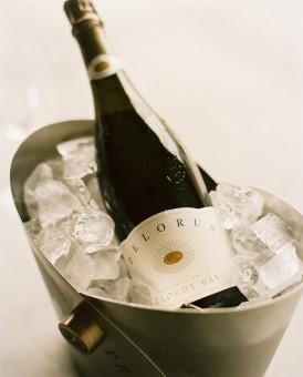 23520881.jpg 274x340