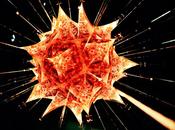 Lieko shiga, lumières