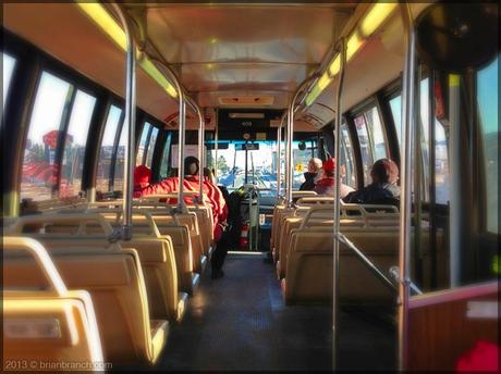 IMG_0503_moncton_transpo_bus