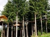 Episode nuit atypique romantique faire qu’un avec nature