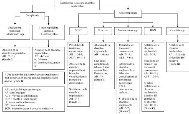 Bain quotidien du patient à la chlorhexidine pour une diminution de la bactérémie chez des patients en pédiatrie gravement malades : une étude croisée multicentrique randomisée par groupes