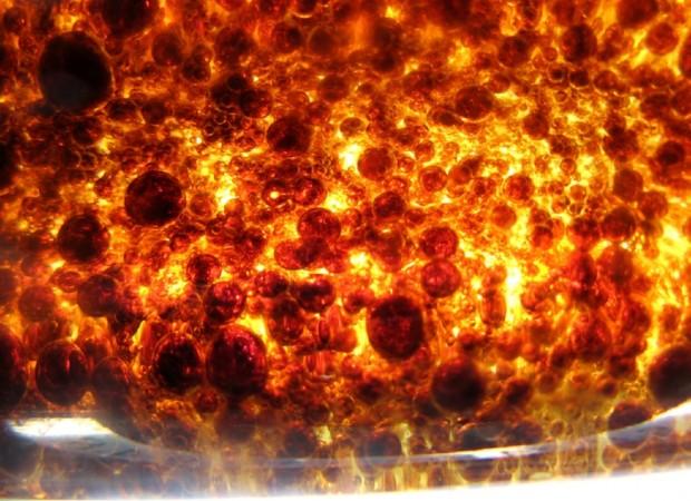 Qfusion_photo_PhOtOnQuAnTiQuE