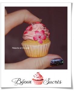 pistache chocolat fimoteuse