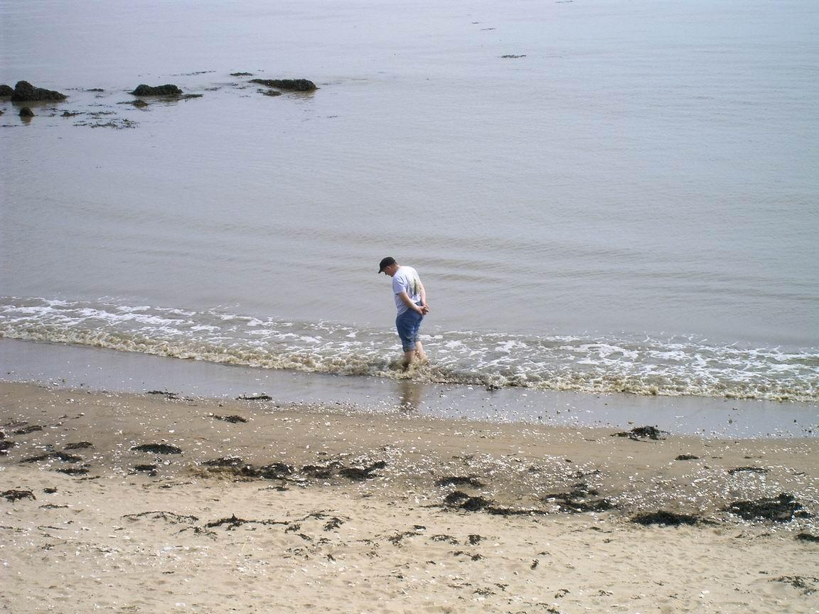 coucou dit son Daquin