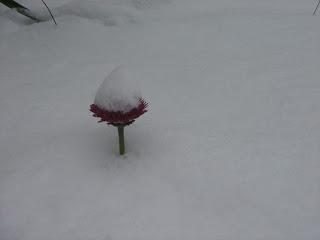 Un weekend sous la neige