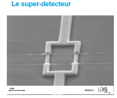 Capture.PNG squid.PNG