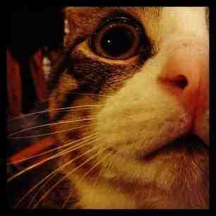 0e24e5dc666b11e280a722000a9e28dc_6