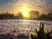 FAMILLE DANS NOUVEAU MONDE premiers