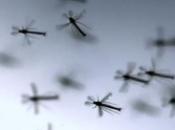 steak moustique vous