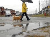 bactéries dans l’atmosphère pourraient agir climat