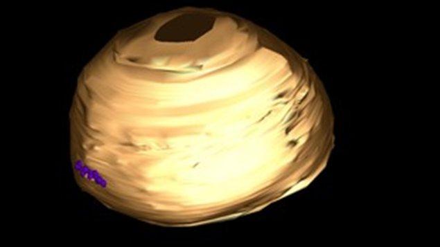 Modèle 3D, réalisé à partir d'images de microscopie électronique, d'une vésicule de 100nm contenant des nanoparticules (petites sphères) à l'intérieur de la membrane.