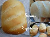 Petits Pains Lait Fermenté, Garnis chocolat Noir