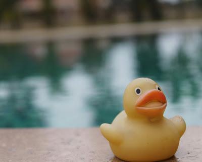 Sauter le pas et se jeter a l'eau...