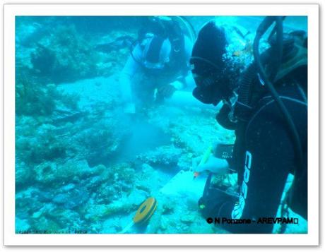 fouille archéologique sous-marine épave Porquerolles