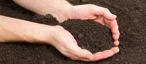 Conseils pour appréhender la nature de son sol !