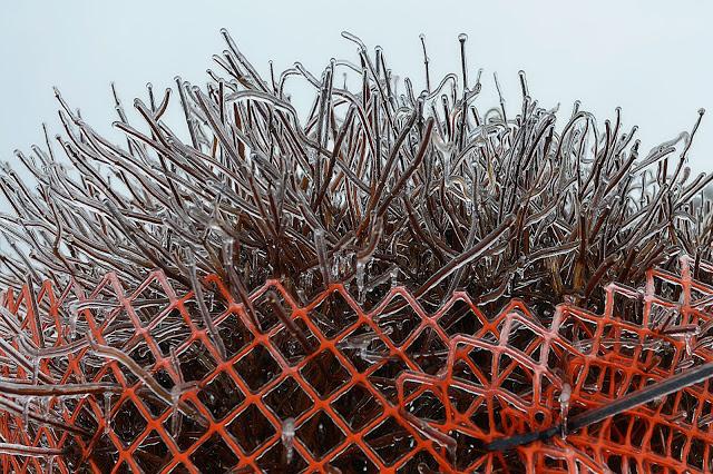 Photos macro du verglas...