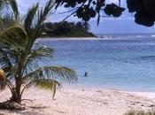 cadavres d’esclaves retrouves guadeloupe