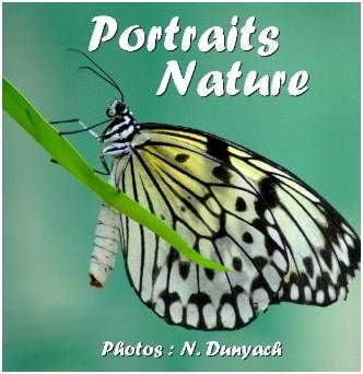 Portraits Nature