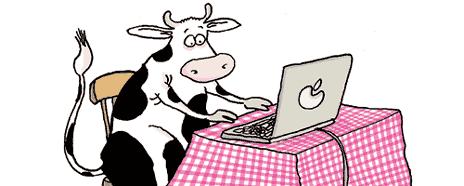 vache qui pianote sur un ordinateur