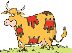 vache portant le symbole de l'auvergne