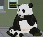 vidéo panda éternument