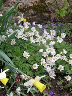 Bouquet de fleurs en direct de Saint-Jean-de-Beauregard (91) Bouquet de fleurs en direct de Saint-Jean-de-Beauregard (91)