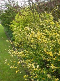 Bouquet de fleurs en direct de Saint-Jean-de-Beauregard (91) Bouquet de fleurs en direct de Saint-Jean-de-Beauregard (91)