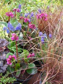 Bouquet de fleurs en direct de Saint-Jean-de-Beauregard (91) Bouquet de fleurs en direct de Saint-Jean-de-Beauregard (91)
